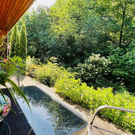 Vor Lauter Baeumen B&B Zorge Εξωτερικό φωτογραφία