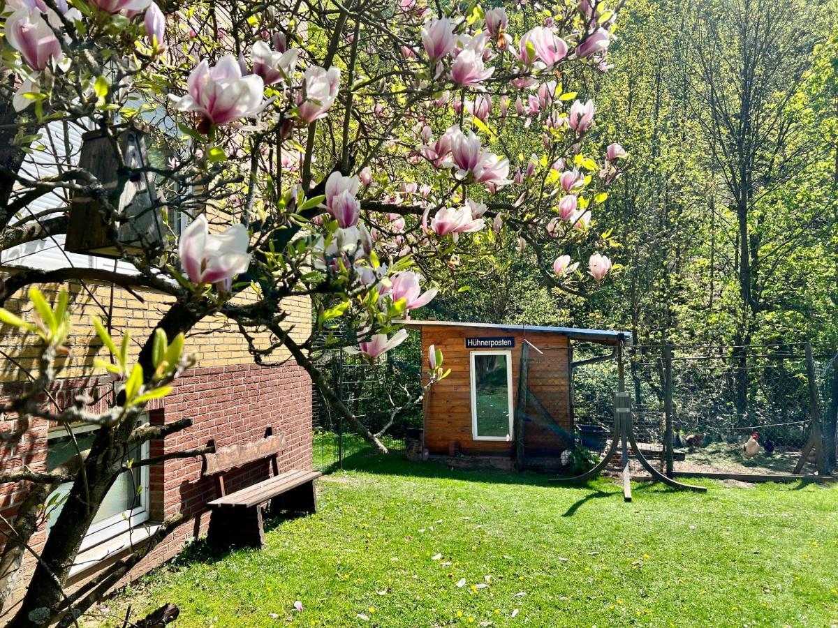 Vor Lauter Baeumen B&B Zorge Εξωτερικό φωτογραφία