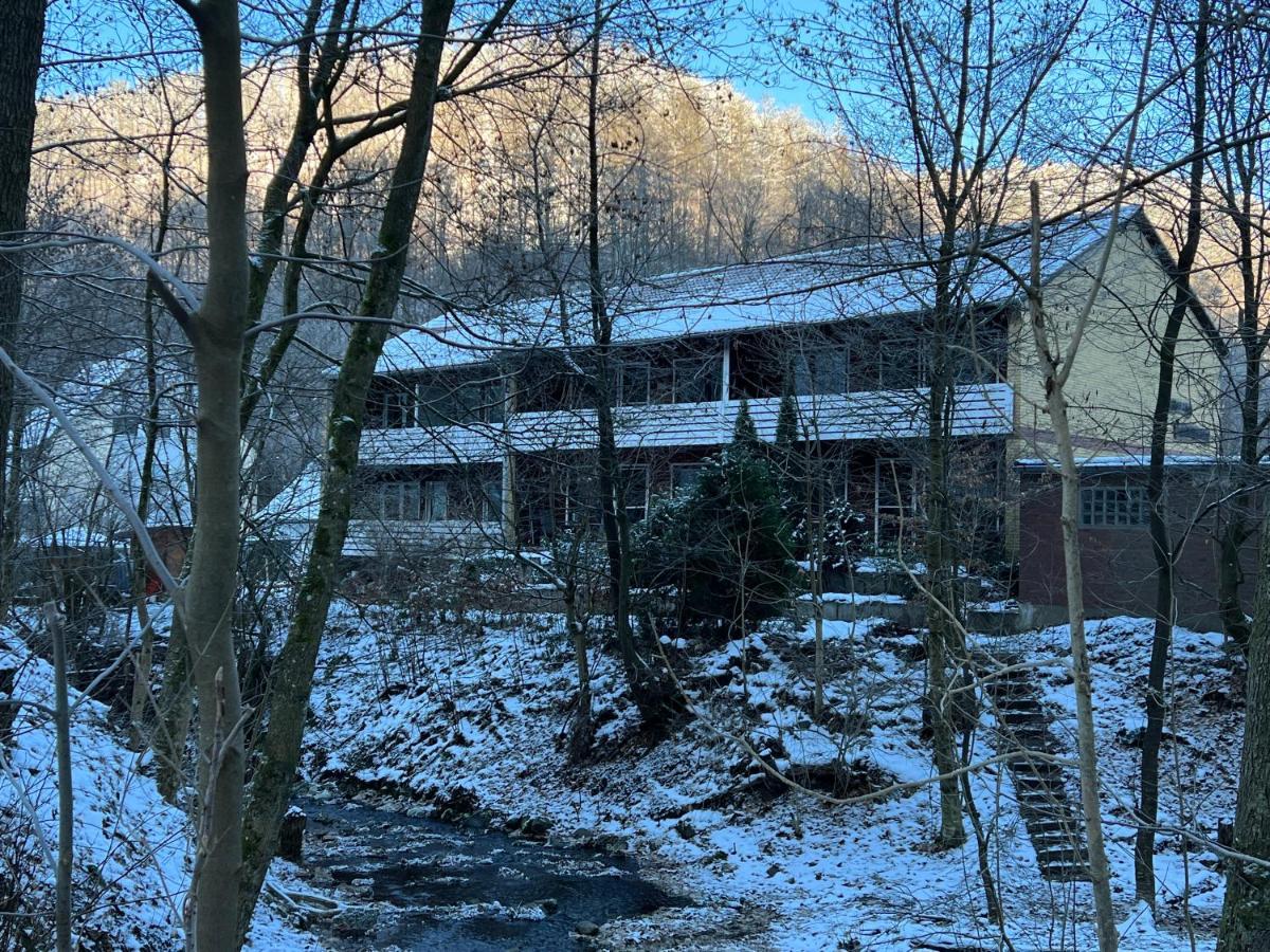 Vor Lauter Baeumen B&B Zorge Εξωτερικό φωτογραφία