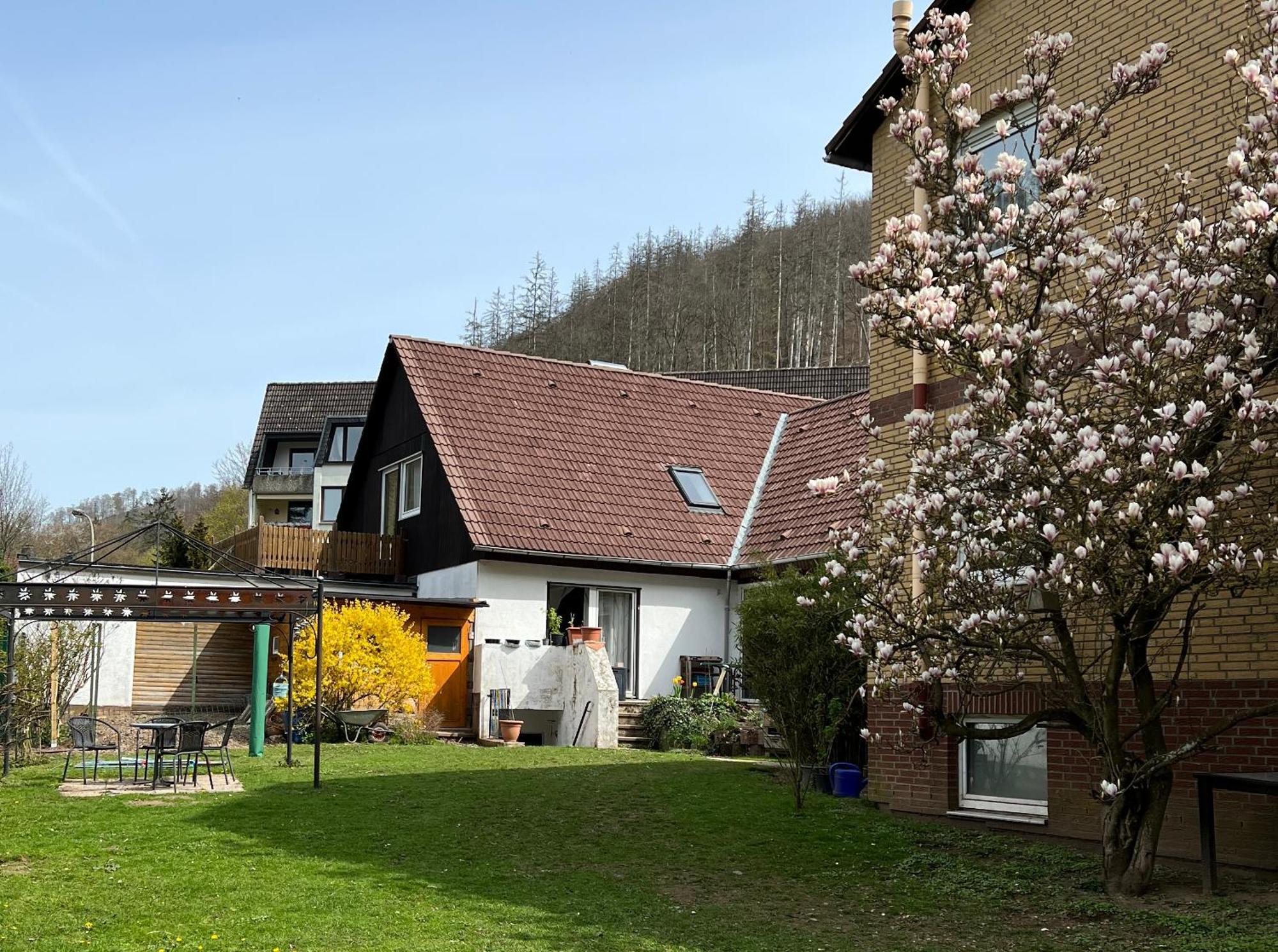 Vor Lauter Baeumen B&B Zorge Εξωτερικό φωτογραφία