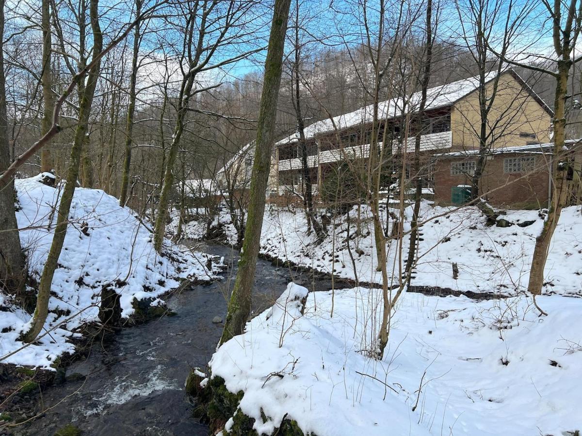 Vor Lauter Baeumen B&B Zorge Εξωτερικό φωτογραφία