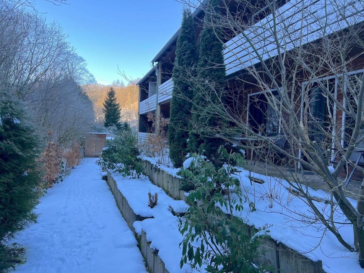 Vor Lauter Baeumen B&B Zorge Εξωτερικό φωτογραφία